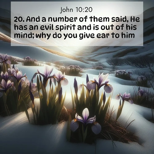 BBE Gospel of John 10:20 overlaying nature image scene: Wild irises pierce winter's last snow. Alpine light sets their petals ablaze.;20. And a number of them said, He has an evil spirit and is out of his mind; why do you give ear to him?