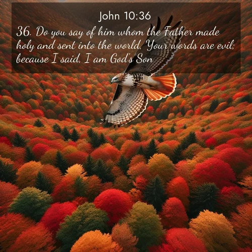 BBE Gospel of John 10:36 overlaying nature image scene: A red-tailed hawk circles above autumn woods. Leaves below form a mosaic of fire.;36. Do you say of him whom the Father made holy and sent into the world, Your words are evil; because I said, I am God's Son?