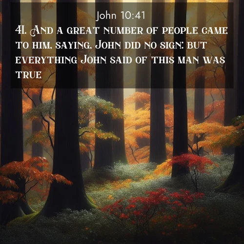 BBE Gospel of John 10:41 overlaying nature image scene: Autumn rain darkens tree trunks in the forest.;41. And a great number of people came to him, saying, John did no sign: but everything John said of this man was true.