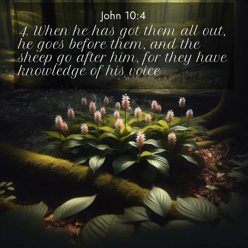 BBE Gospel of John 10:4 overlaying nature image scene: Wild ginger blooms hidden in forest shadows. Filtered sunlight reveals their secret beauty.;4. When he has got them all out, he goes before them, and the sheep go after him, for they have knowledge of his voice.
