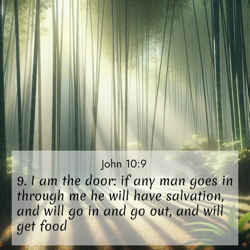 BBE Gospel of John 10:9 overlaying nature image scene: Bamboo forests cast striped shadows while a gentle rain patters on broad leaves.;9. I am the door: if any man goes in through me he will have salvation, and will go in and go out, and will get food.