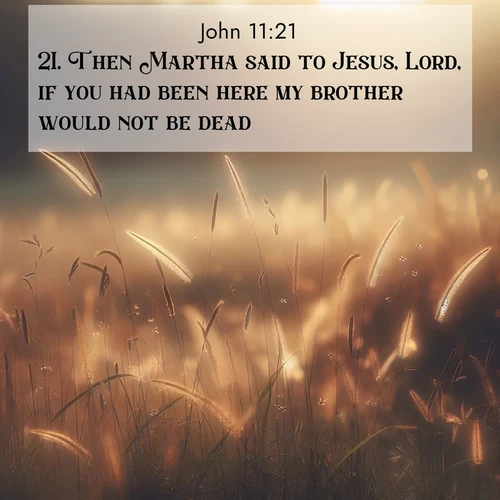 BBE Gospel of John 11:21 overlaying nature image scene: Summer heat brings out cricket songs in meadow grass.;21. Then Martha said to Jesus, Lord, if you had been here my brother would not be dead.