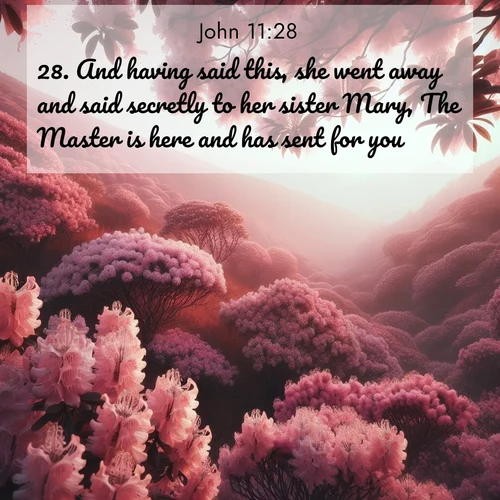 BBE Gospel of John 11:28 overlaying nature image scene: Mountain laurel blooms paint hillsides pink. Spring breezes carry their honey scent.;28. And having said this, she went away and said secretly to her sister Mary, The Master is here and has sent for you.