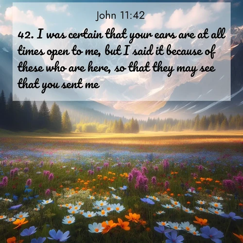 BasicEnglish Gospel of John  ; image nature: image with the bible verse :I was certain that your ears are at all times open to me, but I said it because of these who are here, so that they may see that you sent me. ; Discover Bible images capturing the splendor of deserts, with golden dunes, vast skies, and peaceful oases. These landscapes highlight the grandeur and serenity of God&#039;s creation. Share verses like KJV Gospel of John 11:42. Current verse is overlayed with the thematic nature scene : Spring wildflowers carpet an alpine meadow beneath snow-capped peaks. ; 11:42