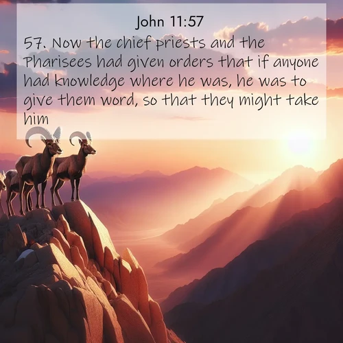 BBE Gospel of John 11:57 overlaying nature image scene: Desert bighorns pause on a knife-edge ridge. Sunset paints their horns in gold.;57. Now the chief priests and the Pharisees had given orders that if anyone had knowledge where he was, he was to give them word, so that they might take him.