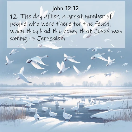 BasicEnglish Gospel of John  ; image nature: image with the bible verse :The day after, a great number of people who were there for the feast, when they had the news that Jesus was coming to Jerusalem, ; Admire Bible verse images illustrated by summer photos, such as sunny beaches, sparkling waves, and swaying palm trees. These bright scenes highlight the joy and warmth of God&#039;s creation. Download and share verses like KJV Gospel of John 12:12. Current verse is overlayed with the thematic nature scene : Snow geese take flight from a winter marsh. Their wings flash white against leaden skies. ; 12:12