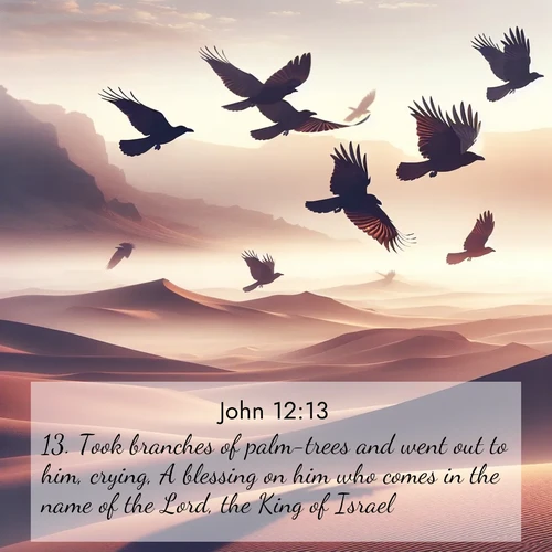 BBE Gospel of John 12:13 overlaying nature image scene: Desert ravens soar on thermal currents. Their wings wear shadows like cloaks.;13. Took branches of palm-trees and went out to him, crying, A blessing on him who comes in the name of the Lord, the King of Israel!