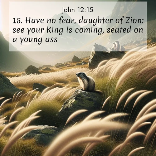 BBE Gospel of John 12:15 overlaying nature image scene: Mountain meadow grasses bend in alpine wind. Marmots whistle warnings from rocky outcrops.;15. Have no fear, daughter of Zion: see your King is coming, seated on a young ass.