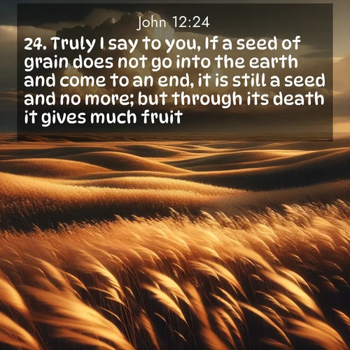 BBE Gospel of John 12:24 overlaying nature image scene: Prairie grass waves like a golden ocean. Storm clouds build towers on the horizon.;24. Truly I say to you, If a seed of grain does not go into the earth and come to an end, it is still a seed and no more; but through its death it gives much fruit.