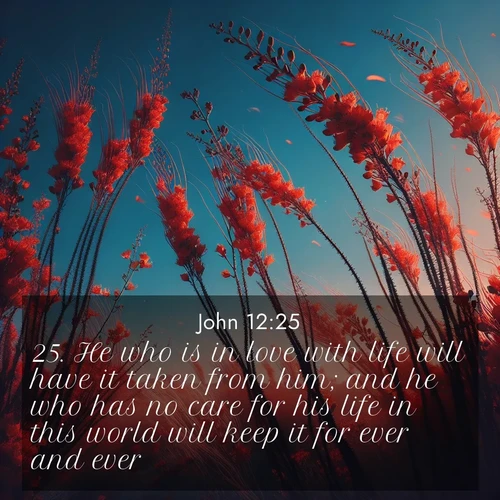 BasicEnglish Gospel of John  ; image nature: image with the bible verse :He who is in love with life will have it taken from him; and he who has no care for his life in this world will keep it for ever and ever. ; Download Bible verse images paired with breathtaking nature photos like golden deserts, shimmering seas, and blossoming orchards. These high-quality, free images are perfect for wallpapers or sharing. Verses include KJV Gospel of John 12:25. Current verse is overlayed with the thematic nature scene : Desert ocotillo flames against blue sky. Wind sings through its scarlet blooms. ; 12:25