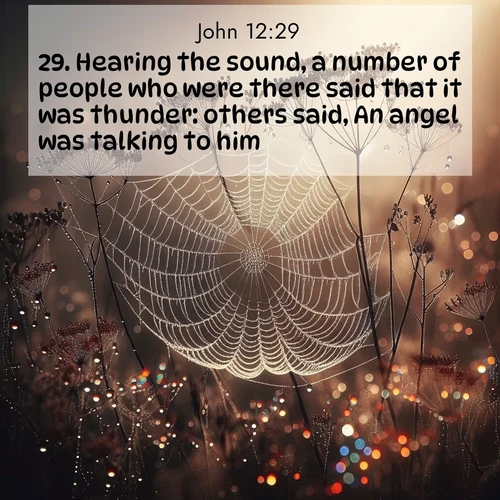 BBE Gospel of John 12:29 overlaying nature image scene: Morning fog reveals spider galaxies. Dew drops capture rainbow light.;29. Hearing the sound, a number of people who were there said that it was thunder: others said, An angel was talking to him.