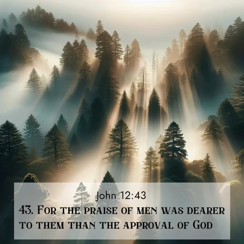 BBE Gospel of John 12:43 overlaying nature image scene: Coastal redwoods disappear into fog. Filtered sunlight creates divine rays.;43. For the praise of men was dearer to them than the approval of God.