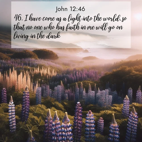 BBE Gospel of John 12:46 overlaying nature image scene: Wild lupines carpet a coastal meadow. Ocean fog rolls in on silent feet.;46. I have come as a light into the world, so that no one who has faith in me will go on living in the dark.
