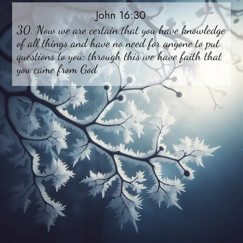 BasicEnglish Gospel of John  ; image nature: image with the bible verse :Now we are certain that you have knowledge of all things and have no need for anyone to put questions to you: through this we have faith that you came from God. ; Discover a unique collection of Bible verses adorned with winter landscapes, such as snow-covered forests, gently falling snowflakes, and pristine mountains. These images evoke the peace and purity of God&#039;s creation. Share verses like KJV Gospel of John 16:30. Current verse is overlayed with the thematic nature scene : Winter frost coats bare branches in delicate crystal. ; 16:30