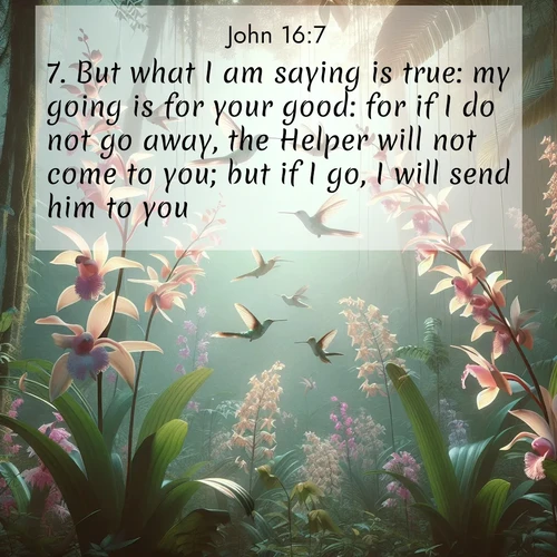 BasicEnglish Gospel of John  ; image nature: image with the bible verse :But what I am saying is true: my going is for your good: for if I do not go away, the Helper will not come to you; but if I go, I will send him to you. ; Explore a unique collection of Bible verses illustrated by winter landscapes, such as snowy mountains, frosty forests, and starry skies. These images capture the peace and beauty of winter. Share verses like KJV Gospel of John 16:7. Current verse is overlayed with the thematic nature scene : Wild orchids bloom in rainforest canopy. Hummingbirds dance between delicate petals. ; 16:7