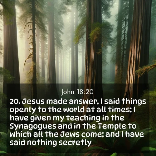BasicEnglish Gospel of John  ; image nature: image with the bible verse :Jesus made answer, I said things openly to the world at all times; I have given my teaching in the Synagogues and in the Temple to which all the Jews come; and I have said nothing secretly. ; Explore a collection of free Bible verse images paired with serene landscapes like golden beaches, verdant forests, and clear blue skies. Each image is ideal for desktop or phone wallpapers. Share verses like KJV Gospel of John 18:20. Current verse is overlayed with the thematic nature scene : Coastal redwoods disappear into the fog high above a fern grove. ; 18:20