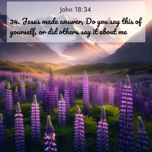BasicEnglish Gospel of John  ; image nature: image with the bible verse :Jesus made answer, Do you say this of yourself, or did others say it about me? ; Browse a vast collection of Bible verse images featuring awe-inspiring landscapes such as calm lakes, vibrant sunsets, and peaceful fields. Download them for free and enjoy verses like KJV Gospel of John 18:34. Current verse is overlayed with the thematic nature scene : Wild lupines paint mountain meadows purple. Snow lingers on distant peaks. ; 18:34