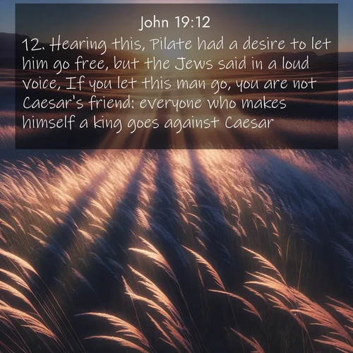 BBE Gospel of John 19:12 overlaying nature image scene: Summer breeze ripples through fields of prairie grass.;12. Hearing this, Pilate had a desire to let him go free, but the Jews said in a loud voice, If you let this man go, you are not Caesar's friend: everyone who makes himself a king goes against Caesar.
