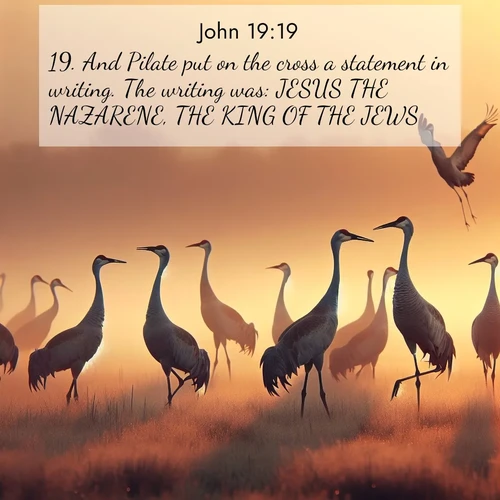 BBE Gospel of John 19:19 overlaying nature image scene: Sandhill cranes dance in morning mist. Their calls echo across the marsh.;19. And Pilate put on the cross a statement in writing. The writing was: JESUS THE NAZARENE, THE KING OF THE JEWS.