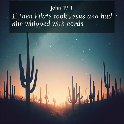 BBE 43 19:1