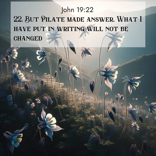 BBE Gospel of John 19:22 overlaying nature image scene: Wild columbines dance on impossibly thin stems. Mountain breezes carry their perfume.;22. But Pilate made answer, What I have put in writing will not be changed.