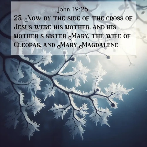 BBE Gospel of John 19:25 overlaying nature image scene: Winter frost coats bare branches in delicate crystal.;25. Now by the side of the cross of Jesus were his mother, and his mother's sister Mary, the wife of Cleopas, and Mary Magdalene.
