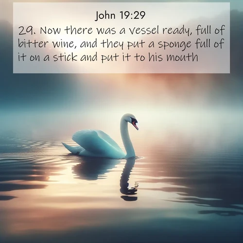 BasicEnglish Gospel of John  ; image nature: image with the bible verse :Now there was a vessel ready, full of bitter wine, and they put a sponge full of it on a stick and put it to his mouth. ; Admire Bible verse images illustrated by summer photos, such as sunny beaches, sparkling waves, and swaying palm trees. These bright scenes highlight the joy and warmth of God&#039;s creation. Download and share verses like KJV Gospel of John 19:29. Current verse is overlayed with the thematic nature scene : A single swan glides across a misty lake. Dawn paints the water in pastels. ; 19:29