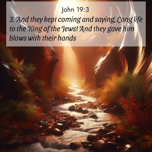 BBE 43 19:3