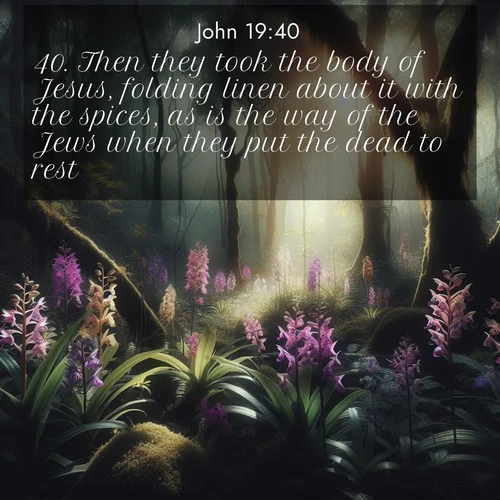 BBE Gospel of John 19:40 overlaying nature image scene: Wild orchids bloom in forest shade. Filtered light reveals their grace.;40. Then they took the body of Jesus, folding linen about it with the spices, as is the way of the Jews when they put the dead to rest.