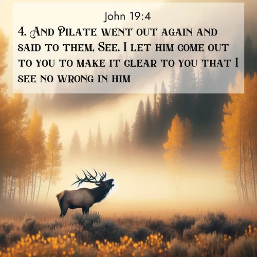 BBE Gospel of John 19:4 overlaying nature image scene: A bull elk bugles across a misty valley. Aspen leaves quake golden in response.;4. And Pilate went out again and said to them, See, I let him come out to you to make it clear to you that I see no wrong in him.