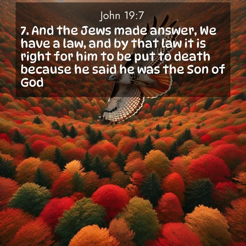 BasicEnglish Gospel of John  ; image nature: image with the bible verse :And the Jews made answer, We have a law, and by that law it is right for him to be put to death because he said he was the Son of God. ; Explore a collection of free Bible verse images paired with serene landscapes like golden beaches, verdant forests, and clear blue skies. Each image is ideal for desktop or phone wallpapers. Share verses like KJV Gospel of John 19:7. Current verse is overlayed with the thematic nature scene : A red-tailed hawk circles above autumn woods. Leaves below form a mosaic of fire. ; 19:7
