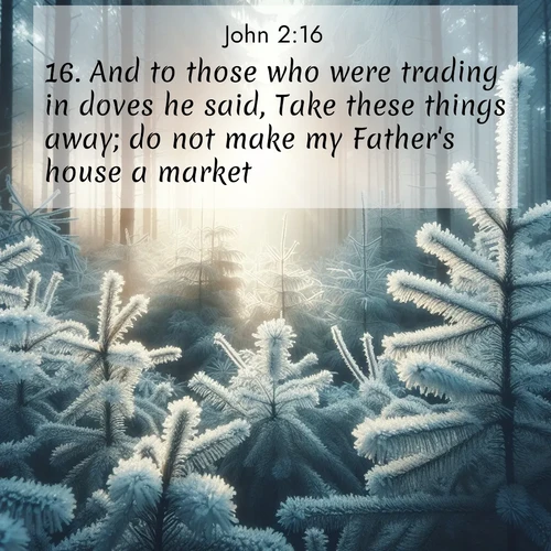 BBE Gospel of John 2:16 overlaying nature image scene: Morning frost rimes every pine needle. Weak winter sun struggles to pierce the forest.;16. And to those who were trading in doves he said, Take these things away; do not make my Father's house a market.
