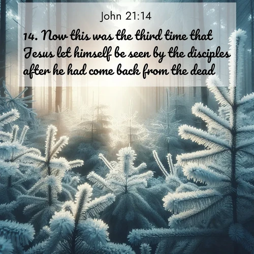 BasicEnglish Gospel of John  ; image nature: image with the bible verse :Now this was the third time that Jesus let himself be seen by the disciples after he had come back from the dead. ; Discover Bible images illustrated by desert landscapes, like sand dunes, majestic rocks, and starry skies. These images symbolize the grandeur and immensity of God&#039;s creation. Download verses like KJV Gospel of John 21:14. Current verse is overlayed with the thematic nature scene : Morning frost rimes every pine needle. Weak winter sun struggles to pierce the forest. ; 21:14