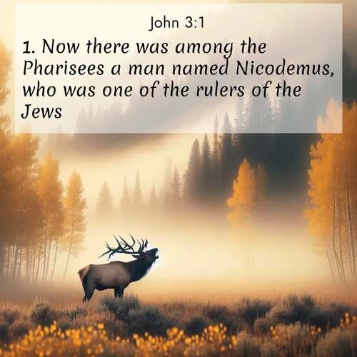 BasicEnglish Gospel of John  ; image nature: image with the bible verse :Now there was among the Pharisees a man named Nicodemus, who was one of the rulers of the Jews. ; Discover Bible images illustrated by desert landscapes, like sand dunes, majestic rocks, and starry skies. These images symbolize the grandeur and immensity of God&#039;s creation. Download verses like KJV Gospel of John 3:1. Current verse is overlayed with the thematic nature scene : A bull elk bugles across a misty valley. Aspen leaves quake golden in response. ; 3:1