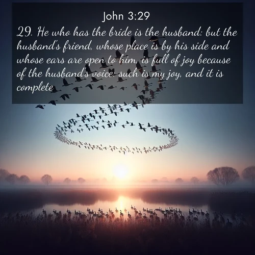 BasicEnglish Gospel of John  ; image nature: image with the bible verse :He who has the bride is the husband: but the husband&#039;s friend, whose place is by his side and whose ears are open to him, is full of joy because of the husband&#039;s voice: such is my joy, and it is complete. ; Browse our collection of vibrant Bible verse images set against calming backdrops like tropical shores, quiet woods, and majestic mountains. Download free wallpapers featuring KJV Gospel of John 3:29. Current verse is overlayed with the thematic nature scene : Wild geese arrow through dawn sky. Their calls wake sleeping marshes. ; 3:29