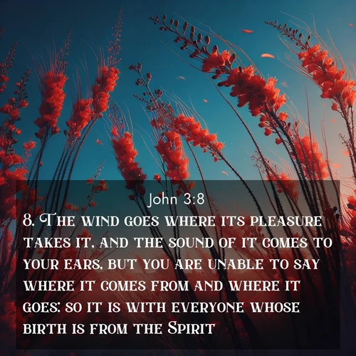 BasicEnglish Gospel of John  ; image nature: image with the bible verse :The wind goes where its pleasure takes it, and the sound of it comes to your ears, but you are unable to say where it comes from and where it goes: so it is with everyone whose birth is from the Spirit. ; Browse a gallery of Bible verses paired with summer scenes, such as golden wheat fields, bright skies, and sunny beaches. These images convey the joy and warmth of God&#039;s creation. Download and share verses like KJV Gospel of John 3:8. Current verse is overlayed with the thematic nature scene : Desert ocotillo flames against blue sky. Wind sings through its scarlet blooms. ; 3:8