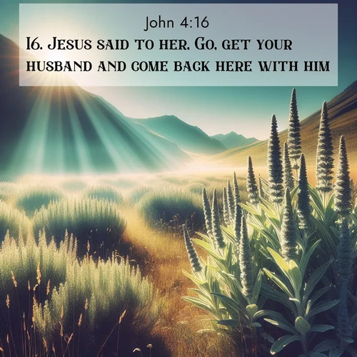 BasicEnglish Gospel of John  ; image nature: image with the bible verse :Jesus said to her, Go, get your husband and come back here with him. ; Admire our free collection of Bible verse images with beautiful landscapes like sunlit forests, rippling waters, and radiant dawns. Each verse, such as KJV Gospel of John 4:16, is ready to download and share. Current verse is overlayed with the thematic nature scene : Summer heat brings out the scent of sage in mountain meadows. ; 4:16