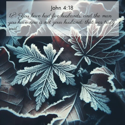 BasicEnglish Gospel of John  ; image nature: image with the bible verse :You have had five husbands, and the man you have now is not your husband: that was truly said. ; Admire our gallery of Bible verse images showcasing divine beauty in nature—whether snowy peaks or serene oceans. Each image is freely downloadable and perfect for personal or spiritual use. Share verses like KJV Gospel of John 4:18. Current verse is overlayed with the thematic nature scene : Winter frost creates delicate patterns on fallen leaves. ; 4:18