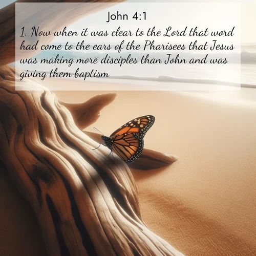 BasicEnglish Gospel of John  ; image nature: image with the bible verse :Now when it was clear to the Lord that word had come to the ears of the Pharisees that Jesus was making more disciples than John and was giving them baptism ; Discover our unique collection of Bible verse images integrated with photos showcasing the majesty of nature, such as rocky mountains, ancient trees, and crystal-clear lakes. These images feature luminous colors and text in varied fonts, reflecting the harmony of God&#039;s creation. Download verses like KJV Gospel of John 4:1. Current verse is overlayed with the thematic nature scene : A single monarch butterfly alights on a sun-bleached driftwood log. Waves crash endlessly on the empty beach beyond. ; 4:1
