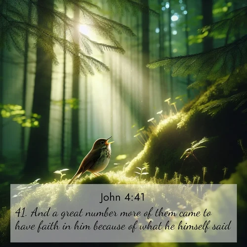 BasicEnglish Gospel of John  ; image nature: image with the bible verse :And a great number more of them came to have faith in him because of what he himself said. ; Dive into our collection of Bible verses paired with breathtaking desert landscapes, featuring infinite dunes, shaded oases, and desert sunsets. These images highlight the majestic grandeur of God&#039;s creation. Download and share verses like KJV Gospel of John 4:41. Current verse is overlayed with the thematic nature scene : A hermit thrush sings from deep woods. Sunlight filters through green canopy. ; 4:41