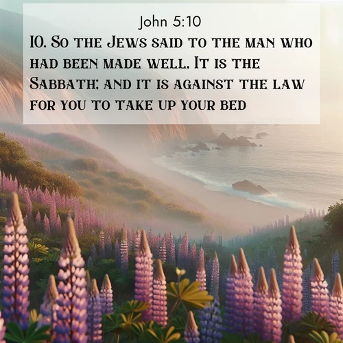BasicEnglish Gospel of John  ; image nature: image with the bible verse :So the Jews said to the man who had been made well, It is the Sabbath; and it is against the law for you to take up your bed. ; Admire Bible verse images illustrated by desert scenes, such as sunsets over dunes, majestic rocks, and solitary cacti. These images capture the majesty of God in arid places. Download and share verses like KJV Gospel of John 5:10. Current verse is overlayed with the thematic nature scene : Wild lupines carpet coastal bluffs. Pacific fog rolls in like smoke. ; 5:10