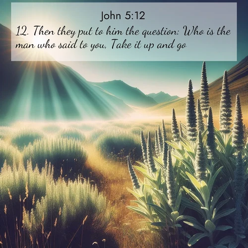 BasicEnglish Gospel of John  ; image nature: image with the bible verse :Then they put to him the question: Who is the man who said to you, Take it up and go? ; Download high-resolution Bible verse images showcasing the beauty of God&#039;s creation—from radiant sunsets to tranquil rivers. Free for use as wallpapers or sharing verses like KJV Gospel of John 5:12. Current verse is overlayed with the thematic nature scene : Summer heat brings out the scent of sage in mountain meadows. ; 5:12