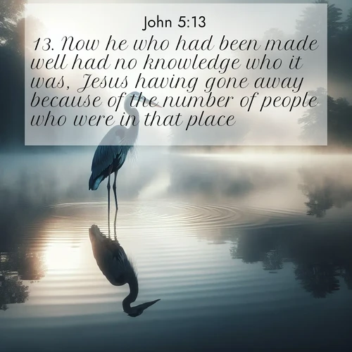 BasicEnglish Gospel of John  ; image nature: image with the bible verse :Now he who had been made well had no knowledge who it was, Jesus having gone away because of the number of people who were in that place. ; Dive into our collection of Bible verses paired with breathtaking desert landscapes, featuring infinite dunes, shaded oases, and desert sunsets. These images highlight the majestic grandeur of God&#039;s creation. Download and share verses like KJV Gospel of John 5:13. Current verse is overlayed with the thematic nature scene : A great blue heron stands motionless in morning fog. Ripples spread from its reflection. ; 5:13