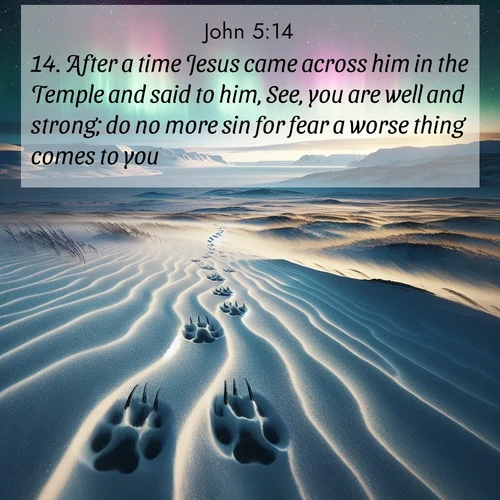 BasicEnglish Gospel of John  ; image nature: image with the bible verse :After a time Jesus came across him in the Temple and said to him, See, you are well and strong; do no more sin for fear a worse thing comes to you. ; Download inspiring Bible verse images featuring stunning natural vistas, from tropical islands to rolling hills. These free images make perfect wallpapers or gifts. Share verses like KJV Gospel of John 5:14. Current verse is overlayed with the thematic nature scene : Arctic fox tracks cross windswept tundra. Northern lights pulse overhead in cosmic rhythm. ; 5:14