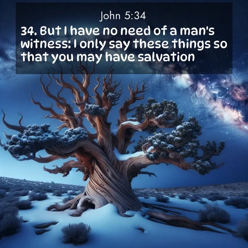 BasicEnglish Gospel of John  ; image nature: image with the bible verse :But I have no need of a man&#039;s witness: I only say these things so that you may have salvation. ; Dive into our collection of Bible verse images beautifully illustrated with beach photos, featuring gentle waves, sunsets over the sea, and sandy shores. These scenes evoke the peace and majesty of God. Download and share inspiring verses like KJV Gospel of John 5:34. Current verse is overlayed with the thematic nature scene : Ancient bristlecone pine twists against a navy twilight sky, its gnarled branches laden with fresh snow. The Milky Way arcs overhead in crystalline clarity. ; 5:34