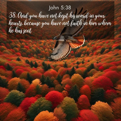 BasicEnglish Gospel of John  ; image nature: image with the bible verse :And you have not kept his word in your hearts, because you have not faith in him whom he has sent. ; Browse beautiful Bible verse images accompanied by peaceful scenes like calm seas, ancient forests, and radiant horizons. Download high-quality, free images featuring verses such as KJV Gospel of John 5:38. Current verse is overlayed with the thematic nature scene : A red-tailed hawk circles above autumn woods. Leaves below form a mosaic of fire. ; 5:38