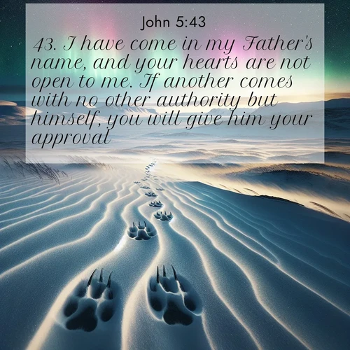 BasicEnglish Gospel of John  ; image nature: image with the bible verse :I have come in my Father&#039;s name, and your hearts are not open to me. If another comes with no other authority but himself, you will give him your approval. ; Admire Bible verse images capturing the beauty of beaches, with turquoise waters, palm trees, and peaceful shores. These soothing scenes reflect God&#039;s serenity and majesty. Download and share verses like KJV Gospel of John 5:43. Current verse is overlayed with the thematic nature scene : Arctic fox tracks cross windswept tundra. Northern lights pulse overhead in cosmic rhythm. ; 5:43