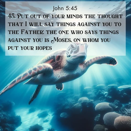 BasicEnglish Gospel of John  ; image nature: image with the bible verse :Put out of your minds the thought that I will say things against you to the Father: the one who says things against you is Moses, on whom you put your hopes. ; Explore a collection of inspiring Bible verse images accompanied by winter photos, such as snowy landscapes, frosted trees, and frozen lakes. These images reflect the peace and purity of God&#039;s creation, with elegant fonts and luminous colors. Download and share verses like KJV Gospel of John 5:45. Current verse is overlayed with the thematic nature scene : A sea turtle glides through underwater sunbeams. Coral gardens glow in the depths below. ; 5:45