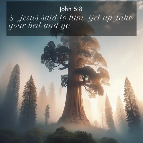 BasicEnglish Gospel of John  ; image nature: image with the bible verse :Jesus said to him, Get up, take your bed and go. ; Explore Bible verses combined with serene beach photos, desert dunes, and infinite skies, highlighting God&#039;s majesty in every landscape. Download and share inspiring verses like KJV Gospel of John 5:8. Current verse is overlayed with the thematic nature scene : A giant sequoia reaches through morning fog. Centuries of growth stretch skyward in silent majesty. ; 5:8