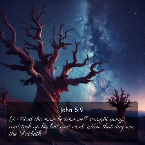 BasicEnglish Gospel of John  ; image nature: image with the bible verse :And the man became well straight away, and took up his bed and went. Now that day was the Sabbath. ; Browse high-resolution Bible verse images featuring stunning nature photography, such as radiant sunsets, tranquil rivers, and blooming fields. Perfect for wallpapers or sharing on social media. Download KJV Gospel of John 5:9. Current verse is overlayed with the thematic nature scene : Ancient bristlecone pines twist toward stars. Time stands still in their presence. ; 5:9